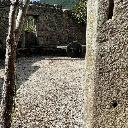 Casa Piedras 別荘